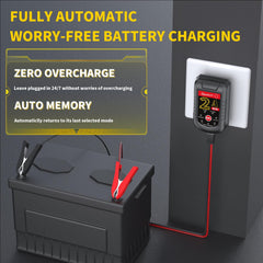 LEICESTERCN battery charger mode switch used to select 6V or 12V and chemistries