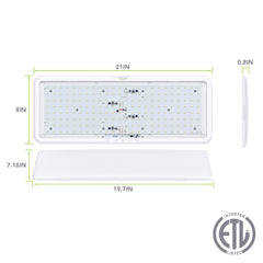 Leisure LED touch dimmer switch lets you adjust brightness easily.