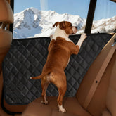 Lepicha dog car door protector waterproof cover keeps doors clean from muddy paws.