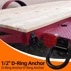 Lifgarfe D-ring anchors for trailer beds with versatile mounting options