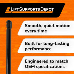 Lift Supports Depot extended length 22.56-inch liftgate supports for full-range trunk travel