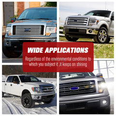 DOT-compliant LITE-WAY F150 fog lights for safe road use