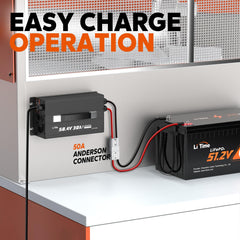 Litime protection features guard against overheating and faults
