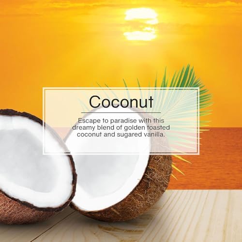 LITTLE TREES Coconut living room scene illustrating versatile home freshness.