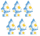 LITTLE TREES Daisy Fields hanging tree front view for car scent enhancement up to 30 days.