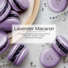 Little Trees Lavender Macaron home decor scent for living spaces and laundry rooms.