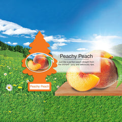 Little Trees Peachy Peach cardboard tree design adds scent to spaces.