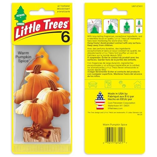 LITTLE TREES pumpkin spice fragrance notes with nutmeg and cinnamon for cozy drives