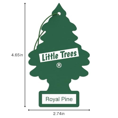 LITTLE TREES Royal Pine Garage shot demonstrates brisk scent in larger spaces.