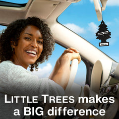 LITTLE TREES Royal Pine Hanging Tree overview for auto and home freshness.
