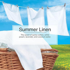 Little Trees Summer Linen 24-count packaging provides steady supply for home and road.