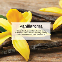 LITTLE TREES Vanillaroma long-lasting scent promises hours of fragrance.