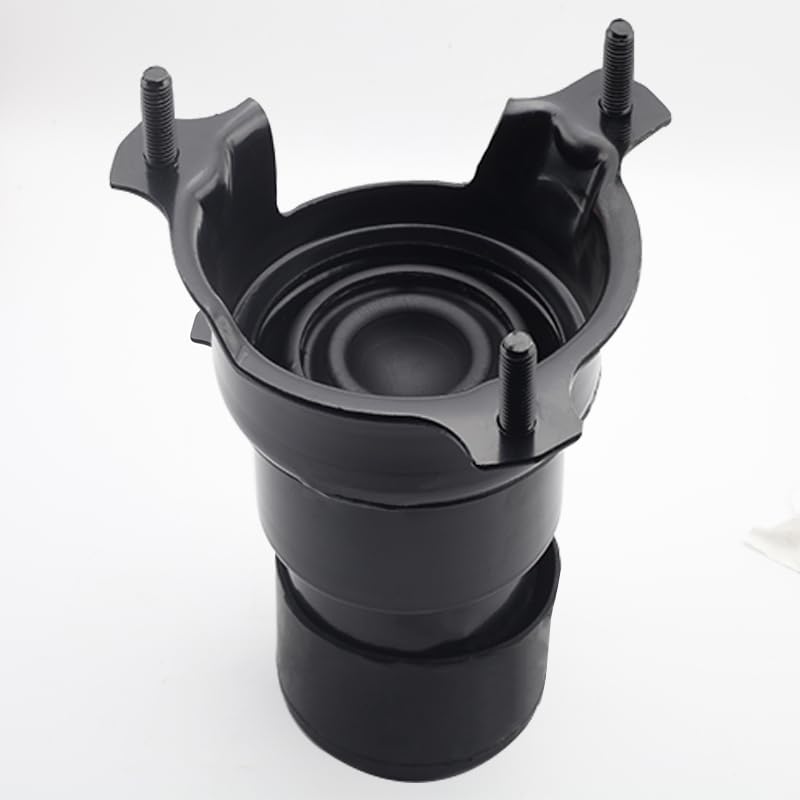 Loongrie engine vibration test demonstrates resilient performance potential.