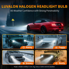 LUVALON 9003/H4 Sequoia and CR-V compatibility for confident fit
