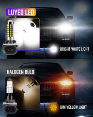 Plug and play LUYED fog light bulb for quick installation