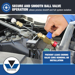 Mastercool Eaton valve-core shafts 8mm and 10mm support Eaton cores.
