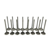 Mievlyo engine valves kit overview for smooth intake and exhaust flow