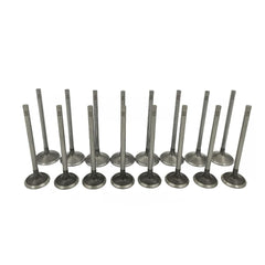 Mievlyo engine valves kit overview for smooth intake and exhaust flow