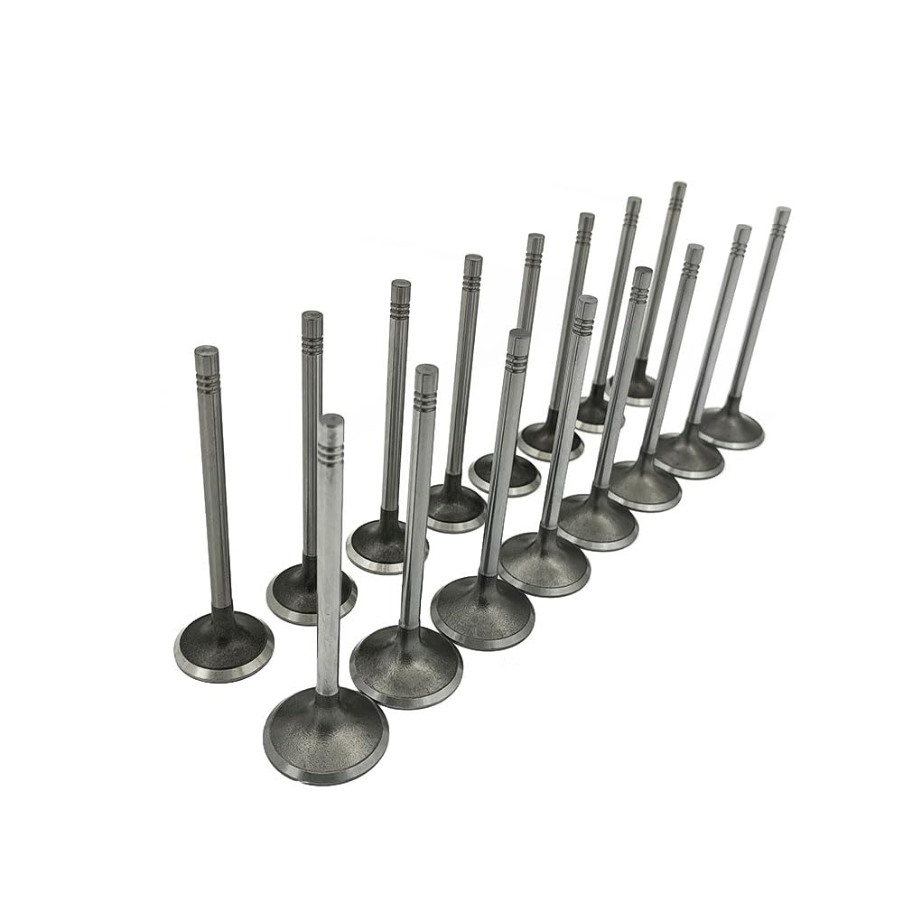 Mievlyo exhaust valve supports steady exhaust flow