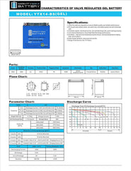 Mighty Max YTX14-BS Gel battery ventless design for safe handling.