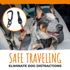 Mighty Paw dog seat belt demonstrates 850+ lb capacity for safety