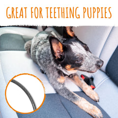 Mighty Paw dog seat belt with aviation aluminum carabiner on the move