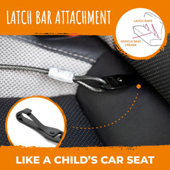 Mighty Paw dog seat belt harness attachment connects to a dog harness