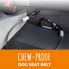 Mighty Paw dog seat belt latch-bar attachment demonstrates secure installation