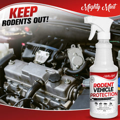 Mighty Mint ready-to-use 16 oz spray for targeted vehicle application