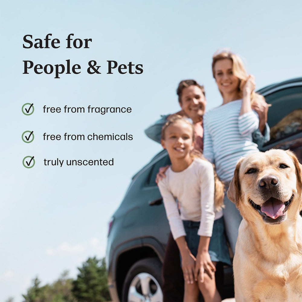 MOSO NATURAL non-toxic car odor eliminator safe for people and pets.