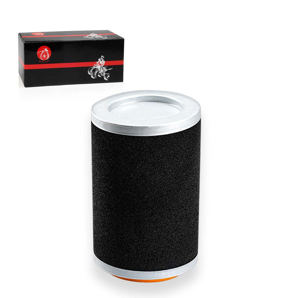 Bruin and Grizzly auto 350-450 filter supports rugged riding.