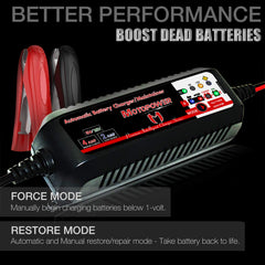 MOTOPOWER MP00207 auto-detection confirms 6V or 12V operation.