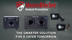 Operates in extreme temperatures and moisture without performance loss