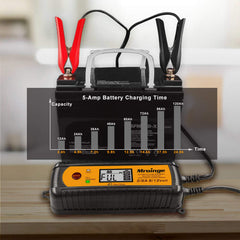 Mroinge LiFePO4 mode supports lithium batteries up to 160Ah.