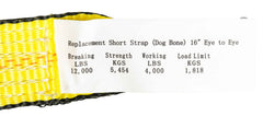 2in strap with 4000 lbs working load limit for secure mounting.