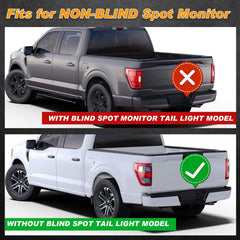 Nakuuly rear-angle Ford F-150 tail-light emphasizes robust construction