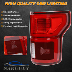 Nakuuly tail light plug-and-play installation example for F-150