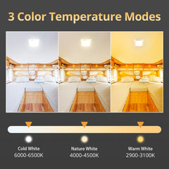NAOEVO 2070LX natural white for balanced daytime brightness