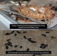 Natural Armor is a ready-to-use solution for vehicle protection.