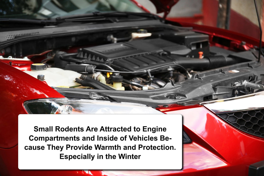 Natural Armor under the hood prevents chewed hoses and wires.