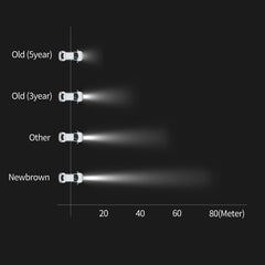 NewBrown H11 with blue ion membrane yields whiter light.