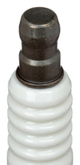 NGK boxed four-pack of ZFR6F-11 spark plugs ready for Civic installation.