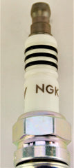 Official NGK packaging and branding for authenticity