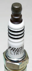 NGK spark plug eight-pack neatly arranged for storage and inventory