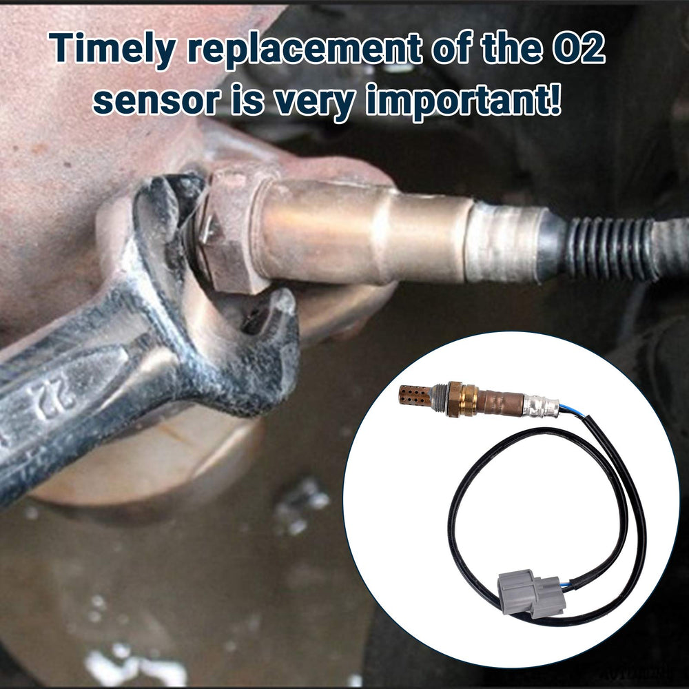 Nifeida stainless steel O2 sensor design emphasizes durability