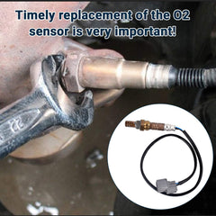 Nifeida stainless steel O2 sensor design emphasizes durability