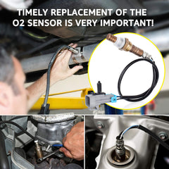 Nifeida upstream O2 sensor 234-4668 for Sierra HD delivers robust durability.