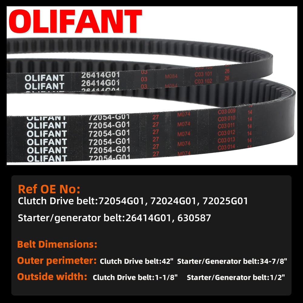 OLIFANT 72025G01 belt close-up for Cushman Express, versatile compatibility.