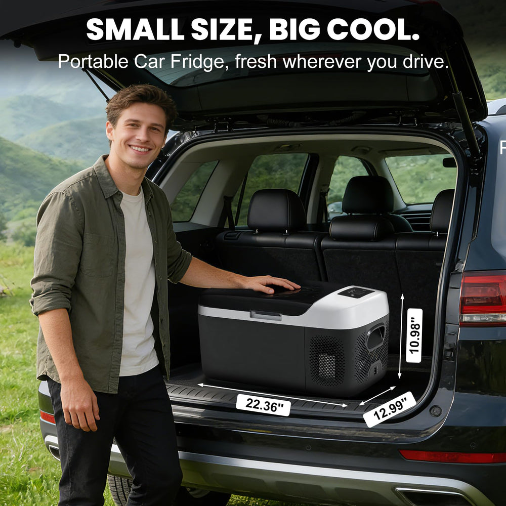 OLIXIS Bluetooth control interface for remote cooling on the go