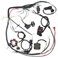 OTOHANS ATV switch and magneto stator for versatile model fitment